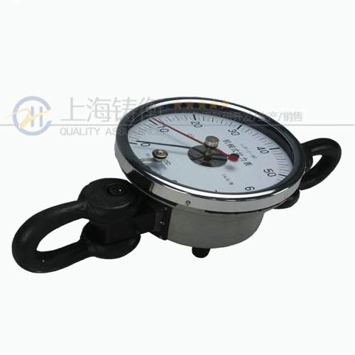 SGJX-3ָ�ʽ������